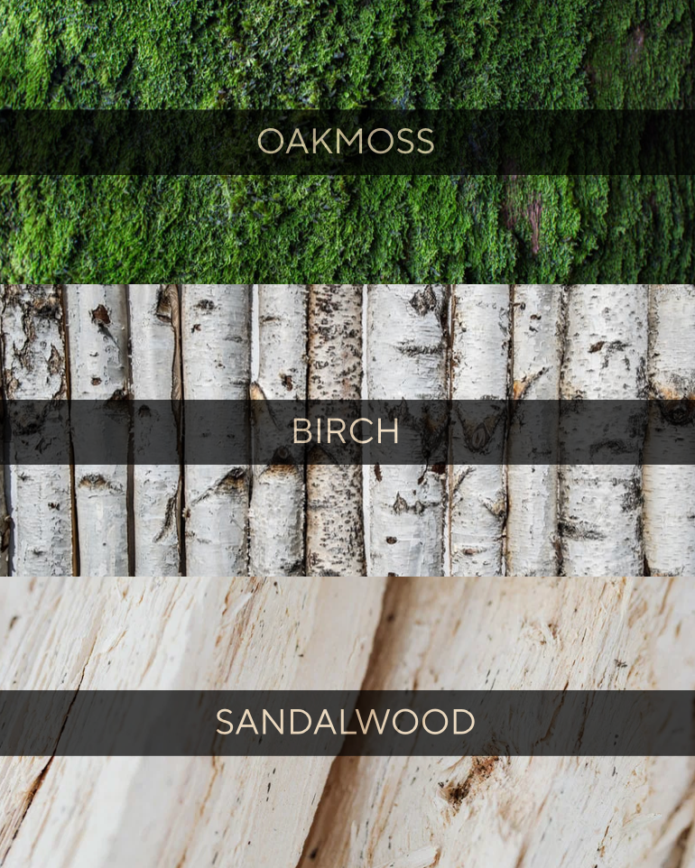 Frosted Birch Body Wash