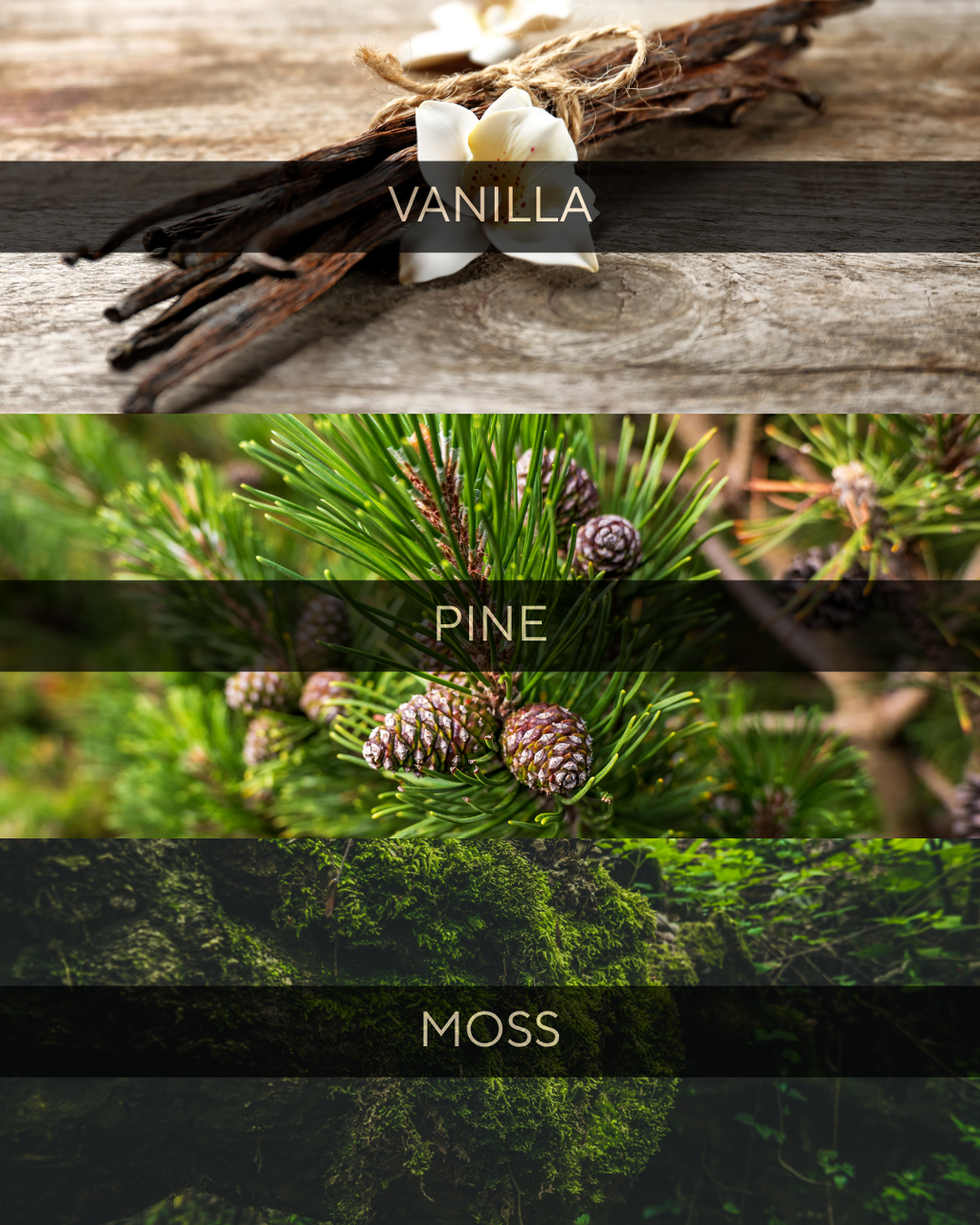 Ember and Evergreen Candle